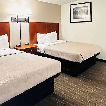 Quality Inn St Paul-Minneapolis-Midway-3