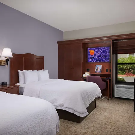 Hampton Inn Clemson-3