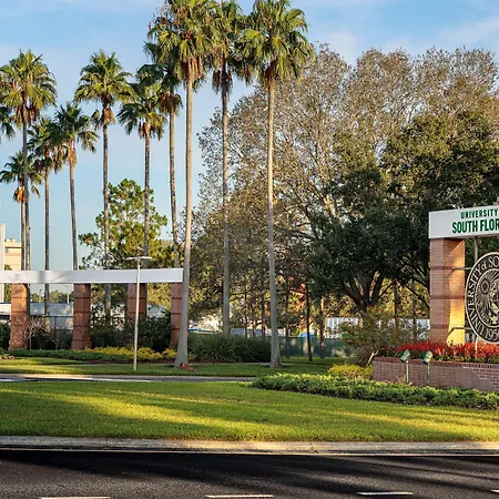 Hyatt Place Tampa Busch Gardens-2