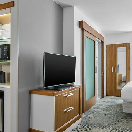 Springhill Suites Lumberton-2