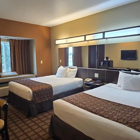 Microtel Inn & Suites By Wyndham Odessa Tx-3