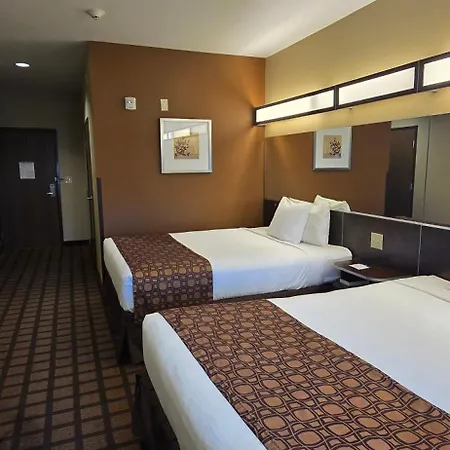 Microtel Inn & Suites By Wyndham Odessa Tx-2