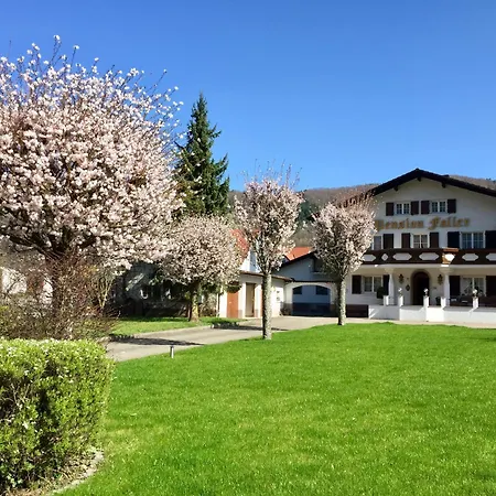 Hotel Gasthaus Adler-3