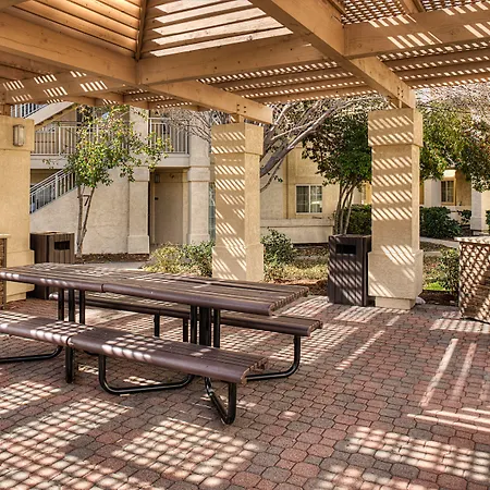 Hyatt House Dallas Addison-2