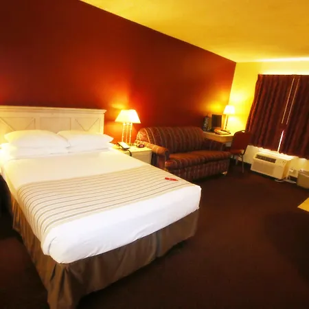 Econo Lodge Inn & Suites Maingate Central-3