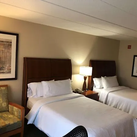 Hilton Garden Inn Addison-2