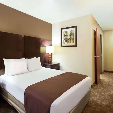 Rodeway Inn & Suites Chandler - Phoenix South I-10-3