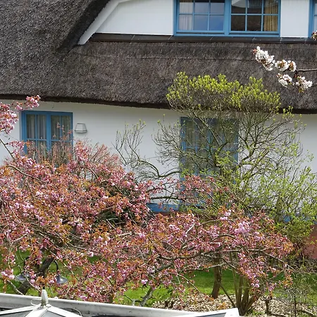 Wreecher Hof-3