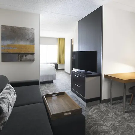Springhill Suites Austin Round Rock-3