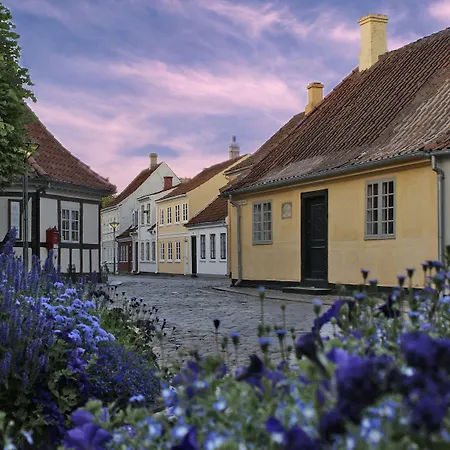 City Hotel Nattergalen-2