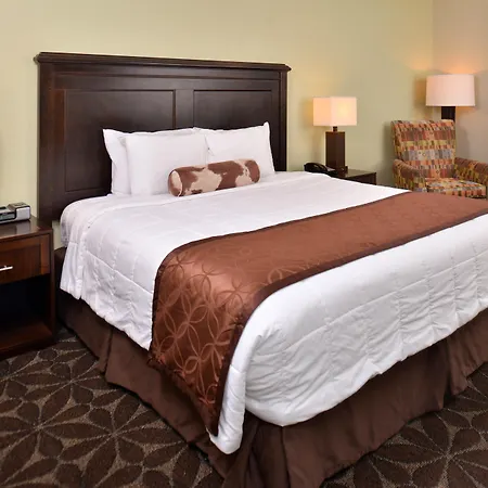 America'S Best Value Inn - Memphis Airport-2