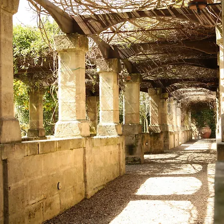 Hotel Del Campo-3