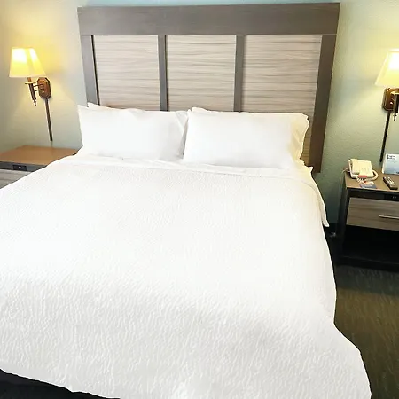 Holiday Inn Express And Suites Clermont Se West Orlando By Ihg-2