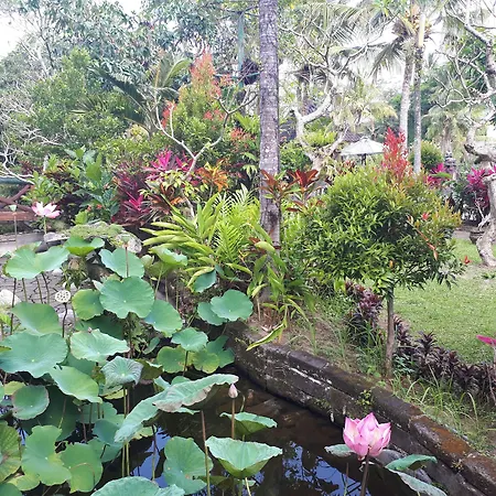 Cendana Resort & Spa Ubud By Mahaputra-2