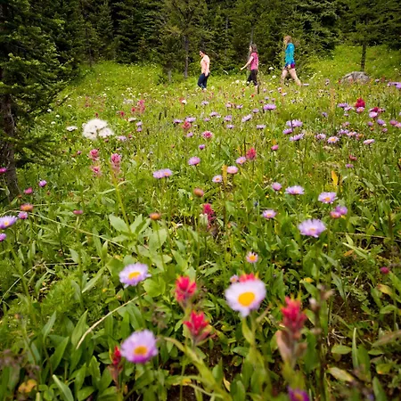 Sunshine Mountain Lodge-2
