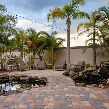 Courtyard Tampa Oldsmar-2