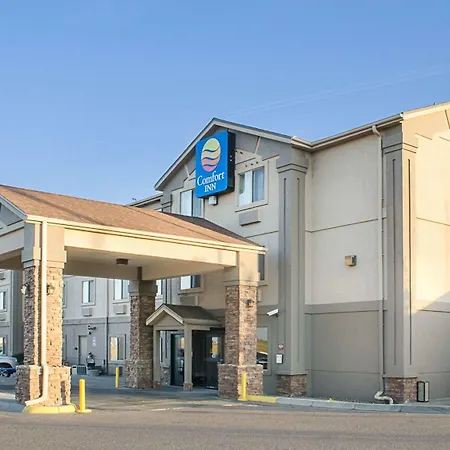 Comfort Inn Garden City-3