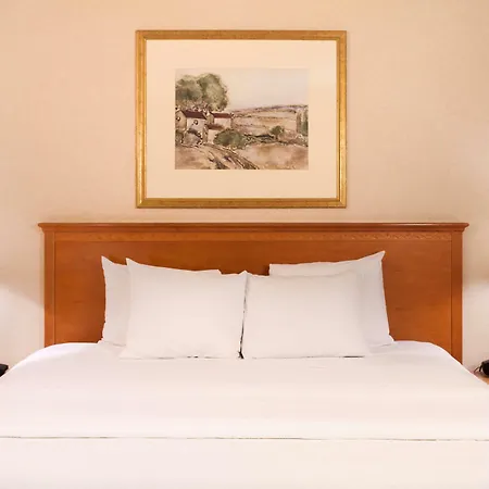 Hampton Inn & Suites Addison-2
