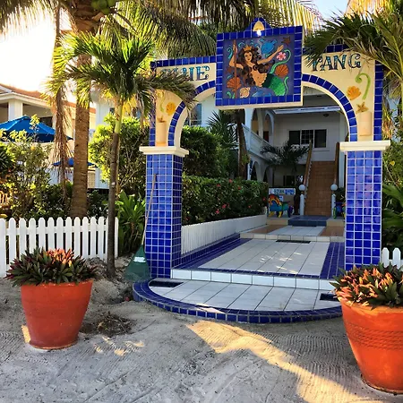 Blue Tang Inn - Beachfront Suites And Pool-3