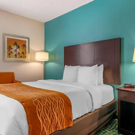 Comfort Inn & Suites Fort Lauderdale West Turnpike-2