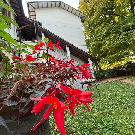 Stella Polare B&B-3
