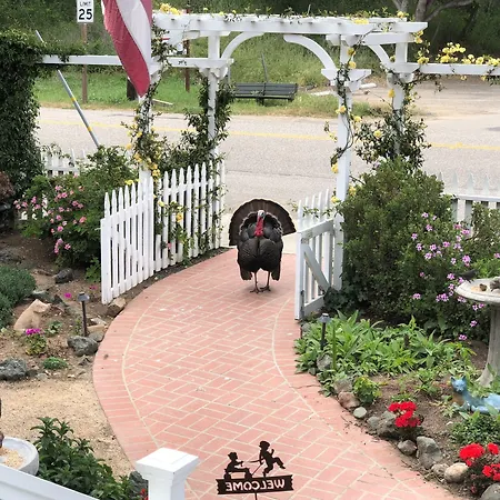 Olallieberry Inn Bed And Breakfast-3