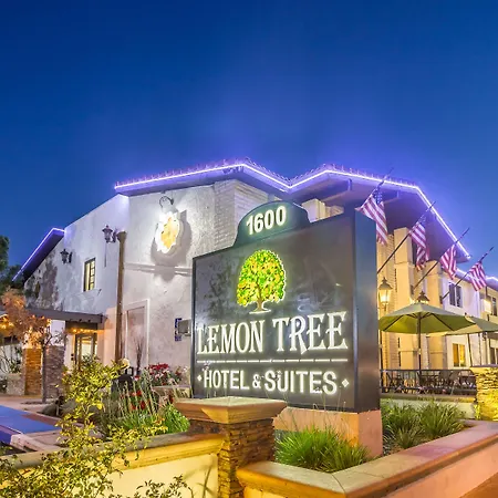 Lemon Tree Hotel And Suites-3