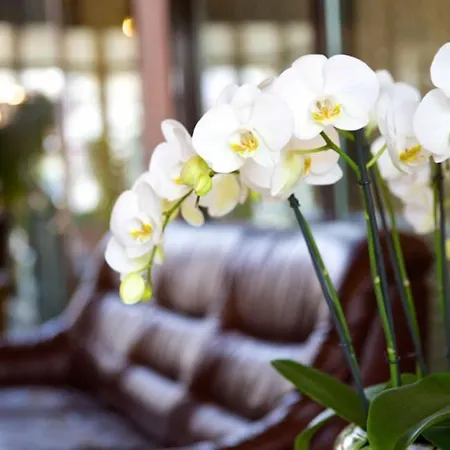 Hotel Garni Geisler-3