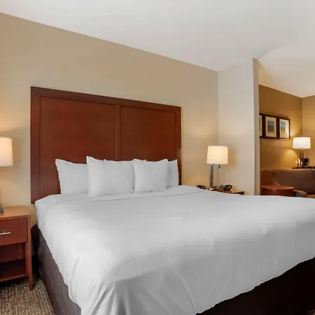 Comfort Suites Foley - North Gulf Shores-2