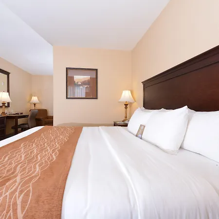 Comfort Inn & Suites Mcminnville Wine Country-3
