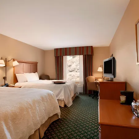 Hampton Inn Canon City-3