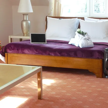 Boutiquehotel Schloßpalais-2