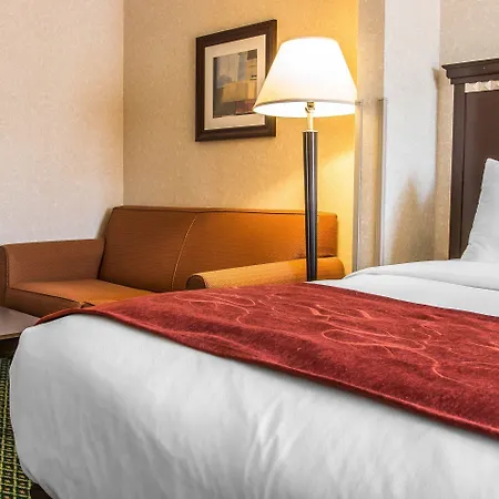 Comfort Suites Canton - Detroit-2