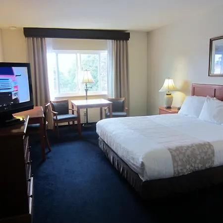 Newport Channel Inn-2
