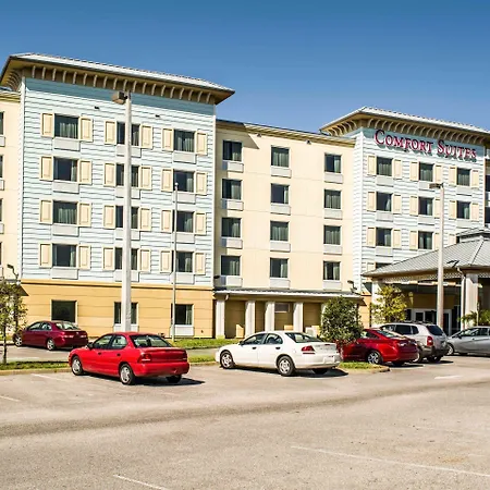 Comfort Suites Palm Bay - Melbourne-3
