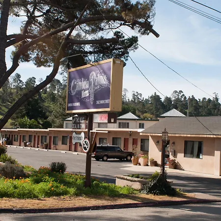 Cambria Palms Motel-3