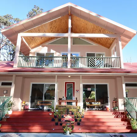 Volcano Forest Inn-2
