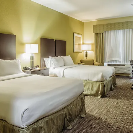 Holiday Inn Express Hotel & Suites Waller By Ihg-3