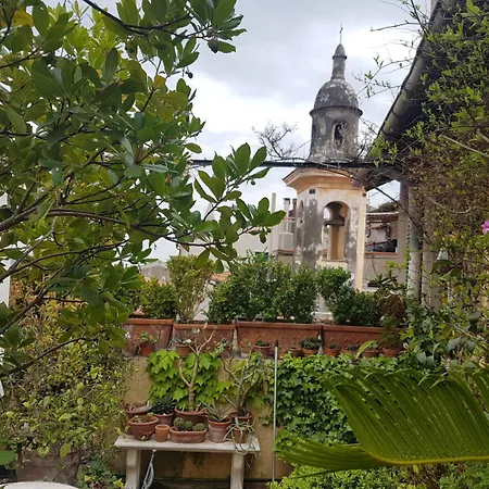 La Terrazza Dei Pelargoni B&B-3