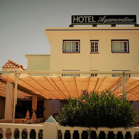 Hotel Ayamontino-3