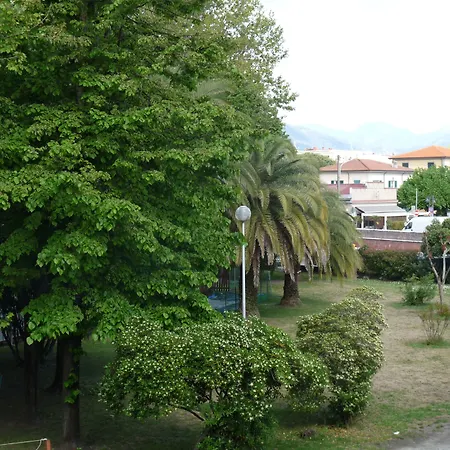 Hotel Daisy-2
