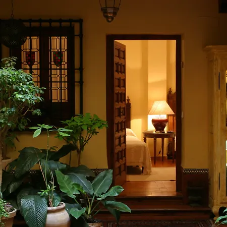 LUX San Miguel-2