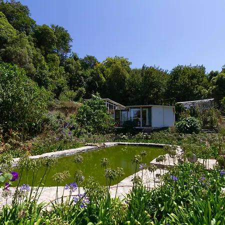 Quinta Das Murtas B&B-3