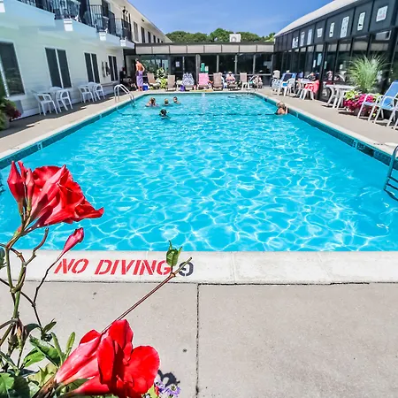 Holly Tree Resort-2