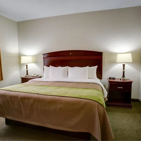 Quality Inn Rockdale-3