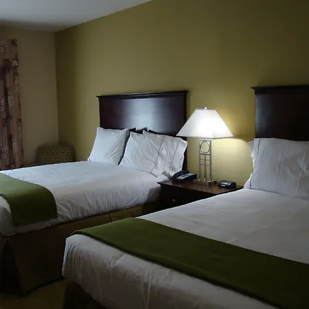 Holiday Inn Express & Suites Brownfield-2
