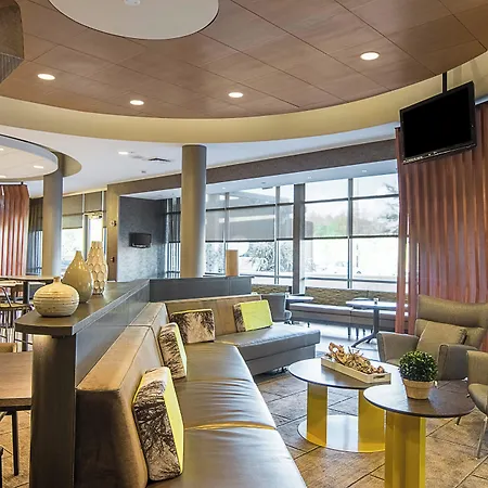 Springhill Suites Tampa North/Tampa Palms-3