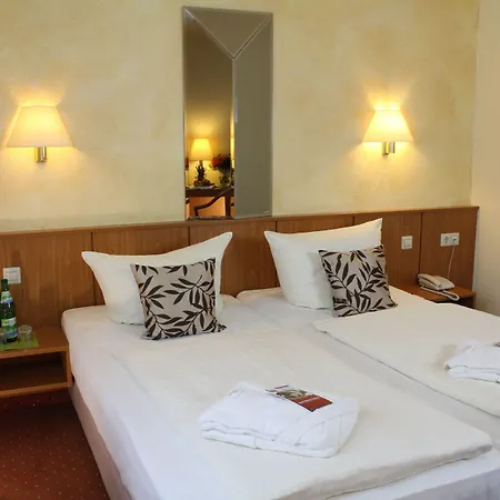 Hotel Weisser Schwan-3