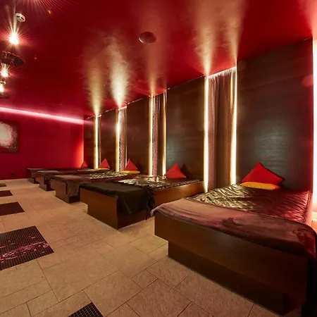 Hotel Alpine Palace-2