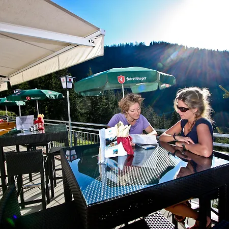 T3 Alpenhotel Garfrescha-2